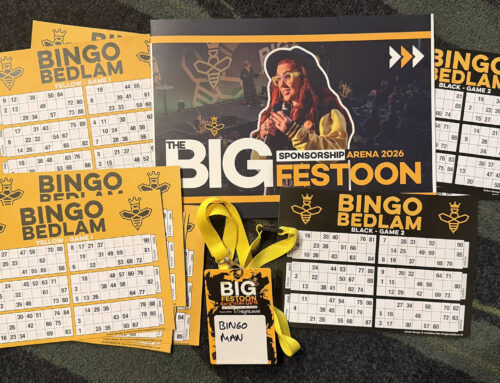 Bespoke Bingo Tickets for the Big Festoon Bingo Bedlam